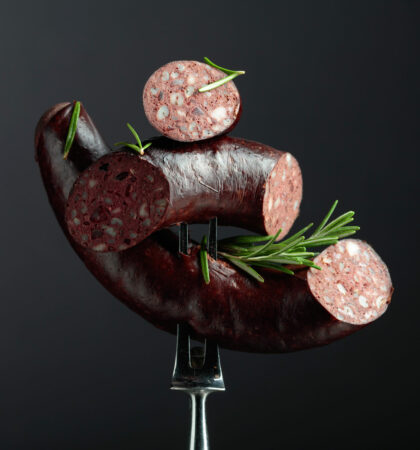 Spanish black pudding or blood sausage with rosemary on a fork. Copy space.